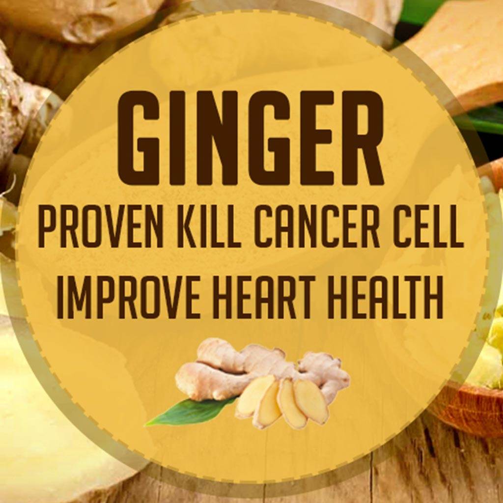 ginger-proven-kill-cancer-cell-improve-heart-health-pharmasynth
